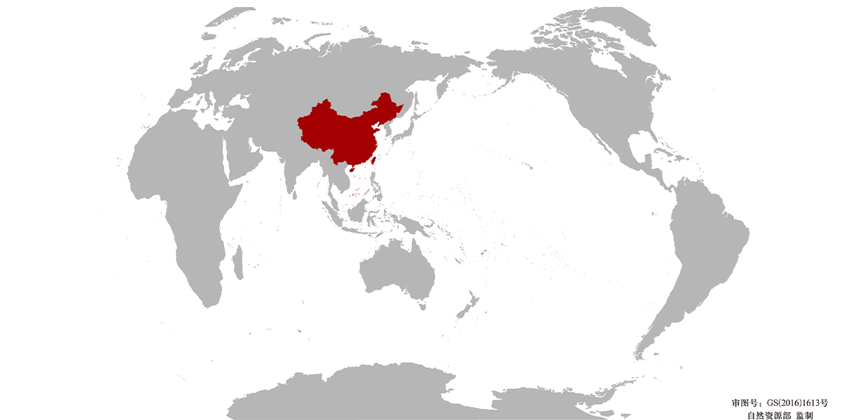 Компания Xinghua Yading Electric Heating Appliance Co., Ltd.